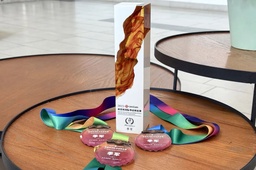 政院学子｜红桃视频
甘英东、孔雨芹二位学子参与第10届南萤杯国际华语辩论赛获季军